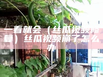 一看就会（丝瓜视频修复）丝瓜视频崩了怎么办