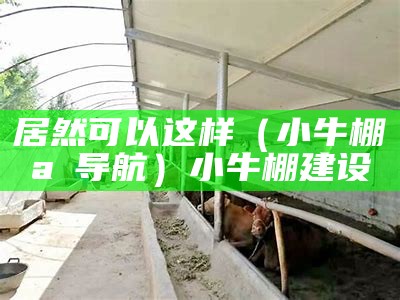 居然可以这样（小牛棚aⅤ导航）小牛棚建设（小牛棚户外探索怎么样）