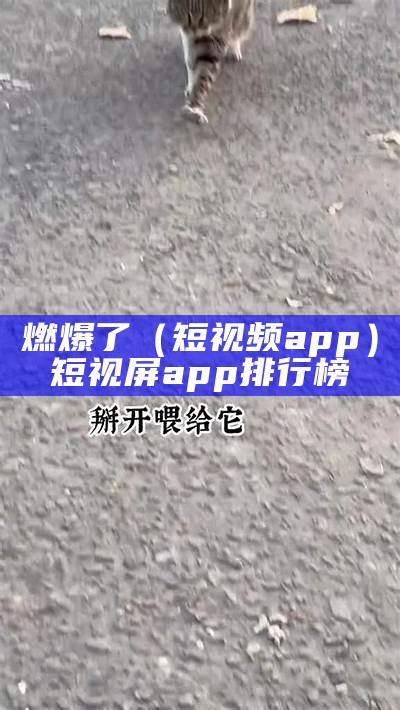 燃爆了（短视频app）短视屏app排行榜