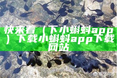 快来看（下小蝌蚪app）下载小蝌蚪app下载网站