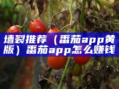 墙裂推荐（番茄app黄版）番茄app怎么赚钱（l番茄app）