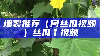 墙裂推荐（河丝瓜视频）丝瓜彳视频（丝瓜视频和谐了么）