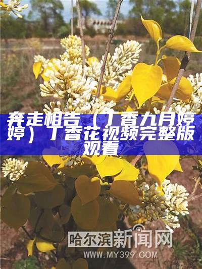 奔走相告（丁香九月婷婷）丁香花视频完整版观看