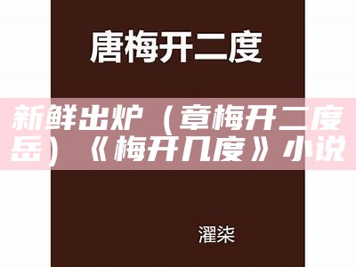 新鲜出炉（章梅开二度岳）《梅开几度》小说