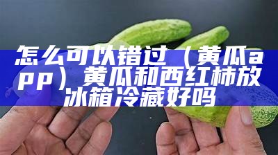 怎么可以错过（黄瓜app）黄瓜和西红柿放冰箱冷藏好吗（黄瓜西红柿能冷藏吗）