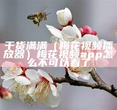 干货满满（梅花视频播放器）梅花视频app怎么不可以看了