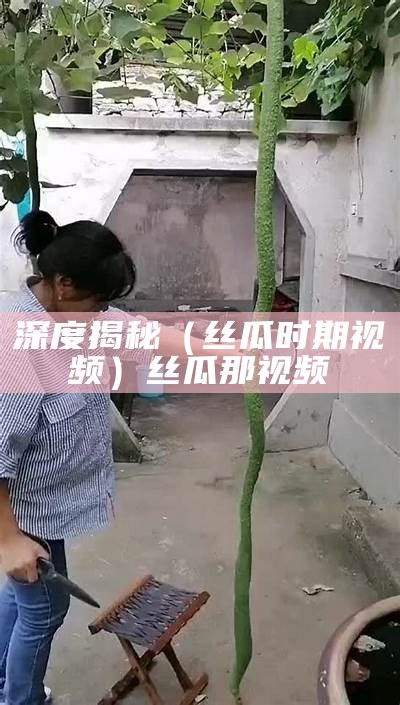 深度揭秘（丝瓜时期视频）丝瓜那视频