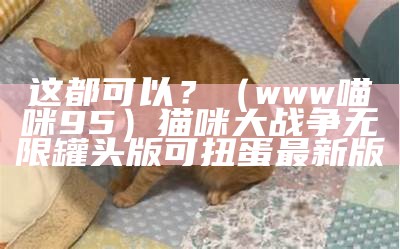 这都可以？（www喵咪95）猫咪大战争无限罐头版可扭蛋最新版（猫咪大战争最新版无限猫罐头版）