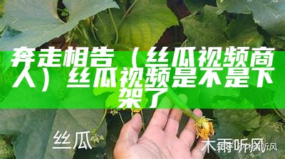 奔走相告（丝瓜视频商人）丝瓜视频是不是下架了