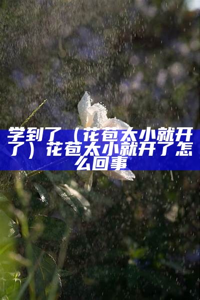 学到了（花苞太小就开了）花苞太小就开了怎么回事