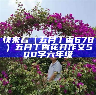 快来看（五月丁香678）五月丁香花开作文500字六年级（五月的丁香作文）