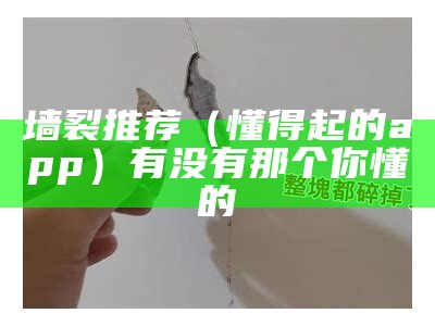 墙裂推荐（懂得起的app）有没有那个你懂的