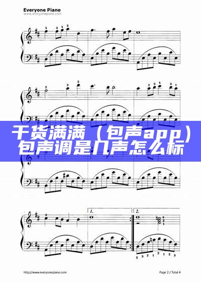 干货满满（包声app）包声调是几声怎么标