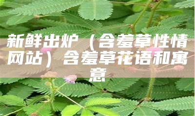 新鲜出炉（含羞草性情网站）含羞草花语和寓意（fn含羞草）