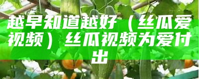 越早知道越好（丝瓜爱视频）丝瓜视频为爱付出