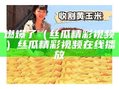 燃爆了（丝瓜精彩视频）丝瓜精彩视频在线播放