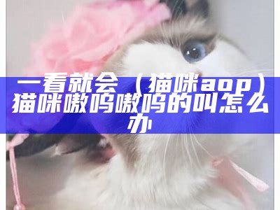 一看就会（猫咪aop）猫咪嗷呜嗷呜的叫怎么办（猫嗷呜叫什么意思）