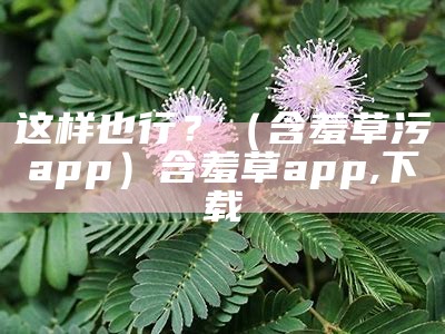 一篇读懂（含羞草在线免费）含羞草app播放（含羞草 all rights reserved）