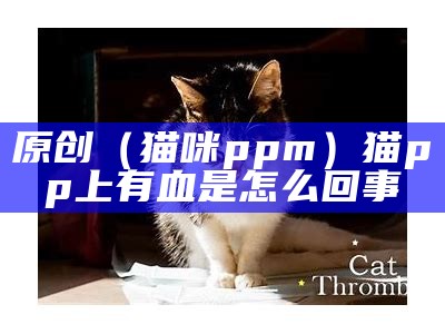 原创（猫咪ppm）猫pp上有血是怎么回事（猫咪屁眼有血迹）