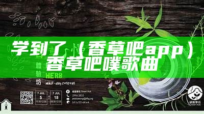 学到了（香草吧app）香草吧噗歌曲（香草吧噗 歌词）