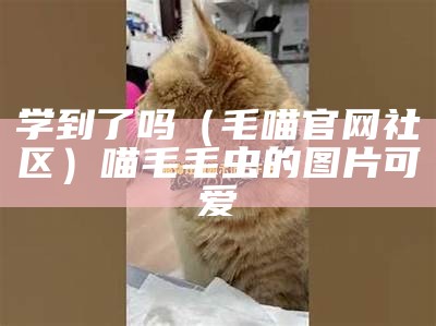 学到了吗（毛喵官网社区）喵毛毛虫的图片可爱