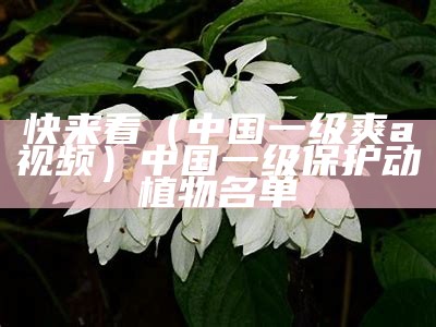 快来看（中国一级爽a视频）中国一级保护动植物名单