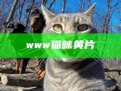 www猫咪黄片