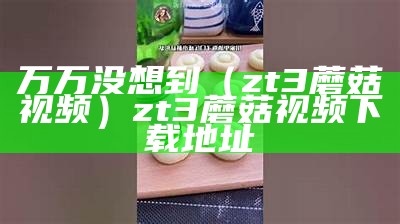 万万没想到（zt3蘑菇视频）zt3蘑菇视频下载地址