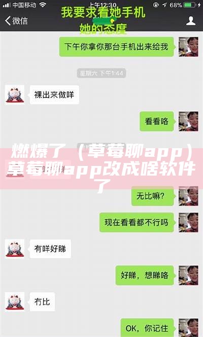 燃爆了（草莓聊app）草莓聊app改成啥软件了