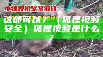 这都可以？（狐狸视频安全）狐狸视频是什么?