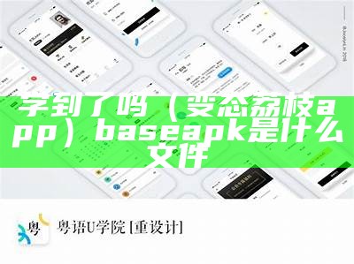 学到了吗（变态荔枝app）baseapk是什么文件