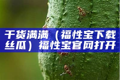 干货满满（福性宝下载丝瓜）福性宝官网打开（福性宝app官网?）