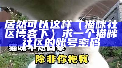 居然可以这样（猫咪社区博客下）求一个猫咪社区的账号密码（猫咪社区账号注册昵称）