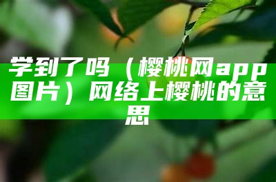 学到了吗（樱桃网app图片）网络上樱桃的意思