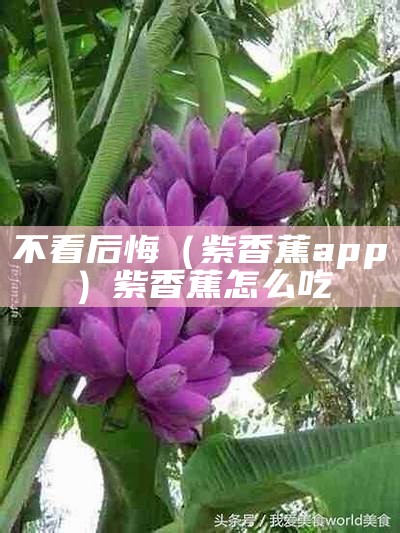 不看后悔（紫香蕉app）紫香蕉怎么吃