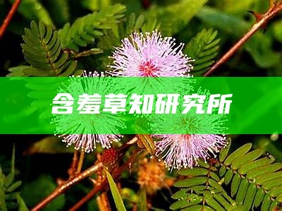 含羞草知研究所