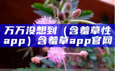 万万没想到（含羞草性app）含羞草app 官网