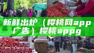 新鲜出炉（樱桃网app广告）樱桃appg