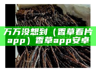 万万没想到（香草看片app）香草app安卓（香草xcapp）