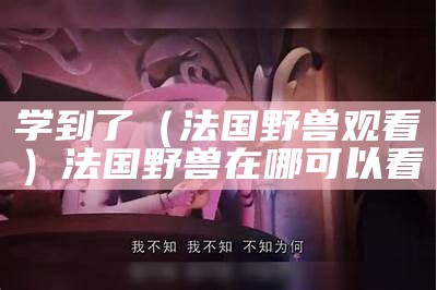 学到了（法国野兽观看）法国野兽在哪可以看（1975年法国电影野兽剧情解析）