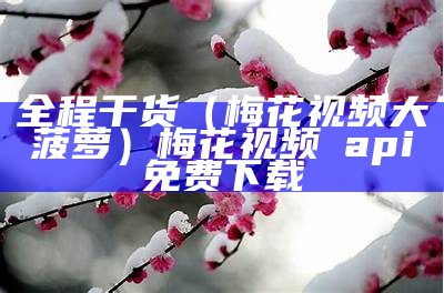 全程干货（梅花视频大菠萝）梅花视频汅api免费下载