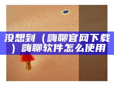 没想到（嗨聊官网下载）嗨聊软件怎么使用（嗨聊软件怎么样）