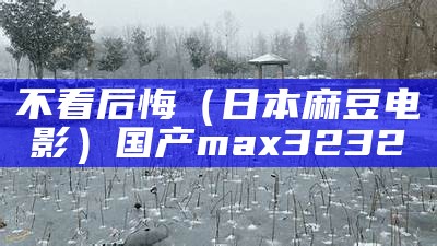 不看后悔（日本麻豆电影）国产max3232