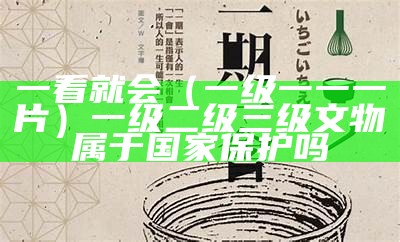 一看就会（一级一一一片）一级二级三级文物属于国家保护吗