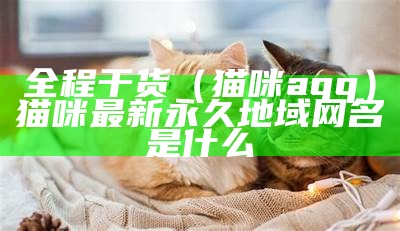 全程干货（猫咪aqq）猫咪最新永久地域网名是什么（新版猫咪网址是什么 app）