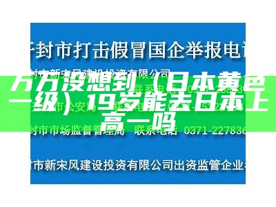 万万没想到（日本黄色一级）19岁能去日本上高一吗