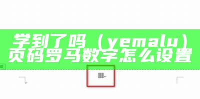 学到了吗（yemalu）页码罗马数字怎么设置