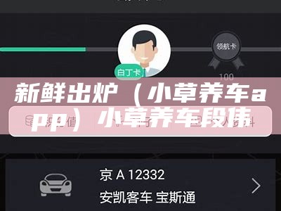 新鲜出炉（小草养车app）小草养车段伟