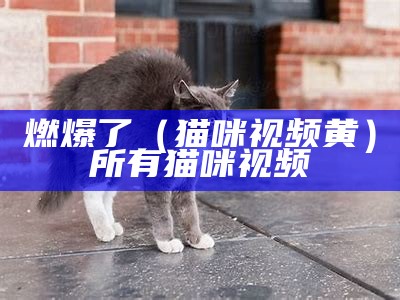 燃爆了（猫咪视频黄）所有猫咪视频