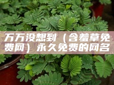 万万没想到（含羞草免费网）永久免费的网名（那个叫含羞草的网站）